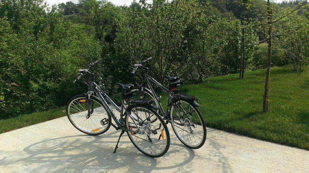 פודצ'טרטק Ortenia Apartments In Nature חדר תמונה